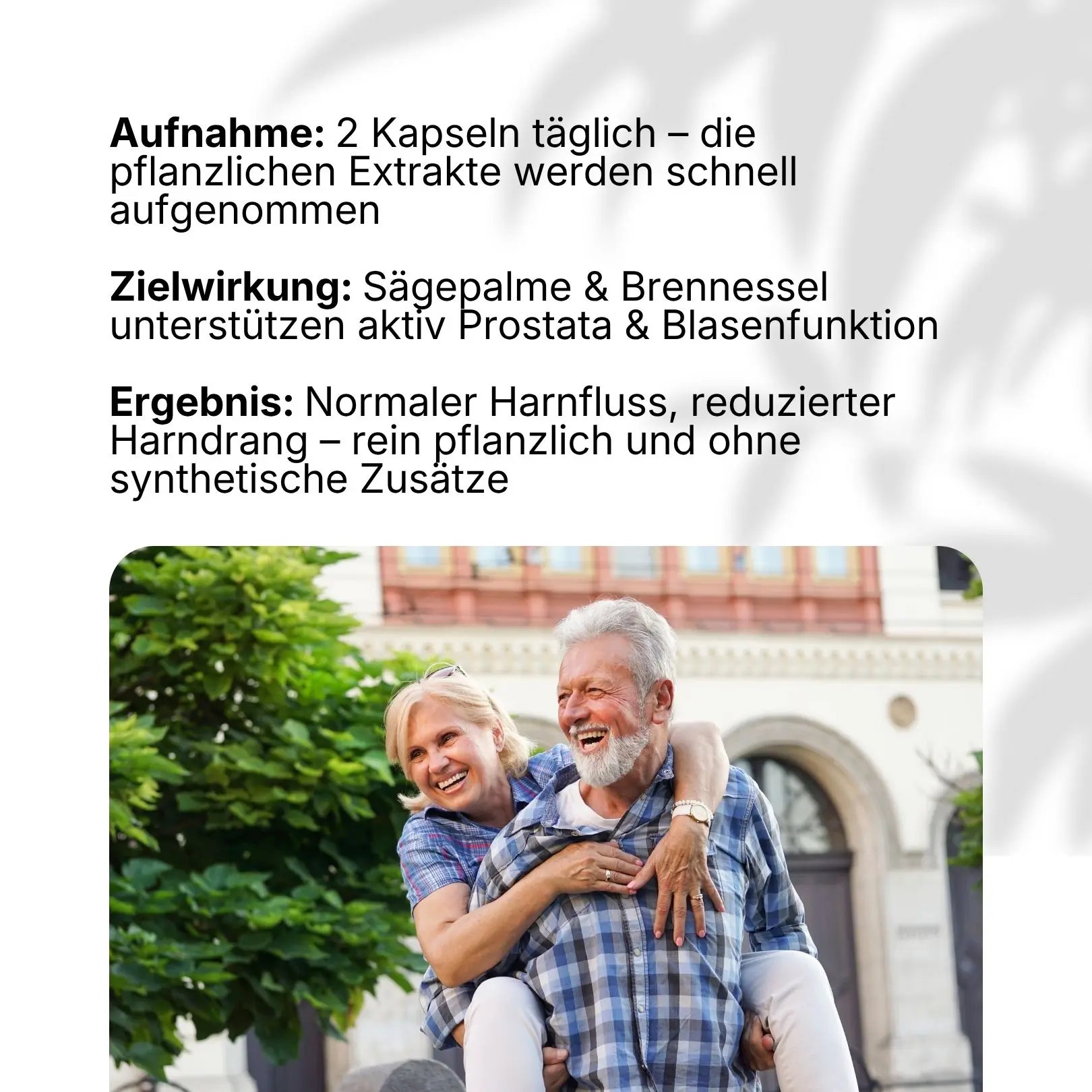 prostaveda geöffnet