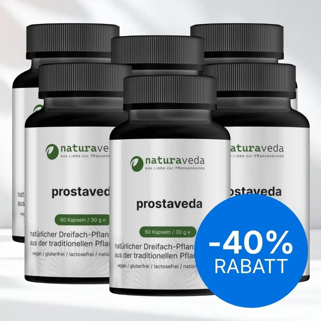 6x prostaveda