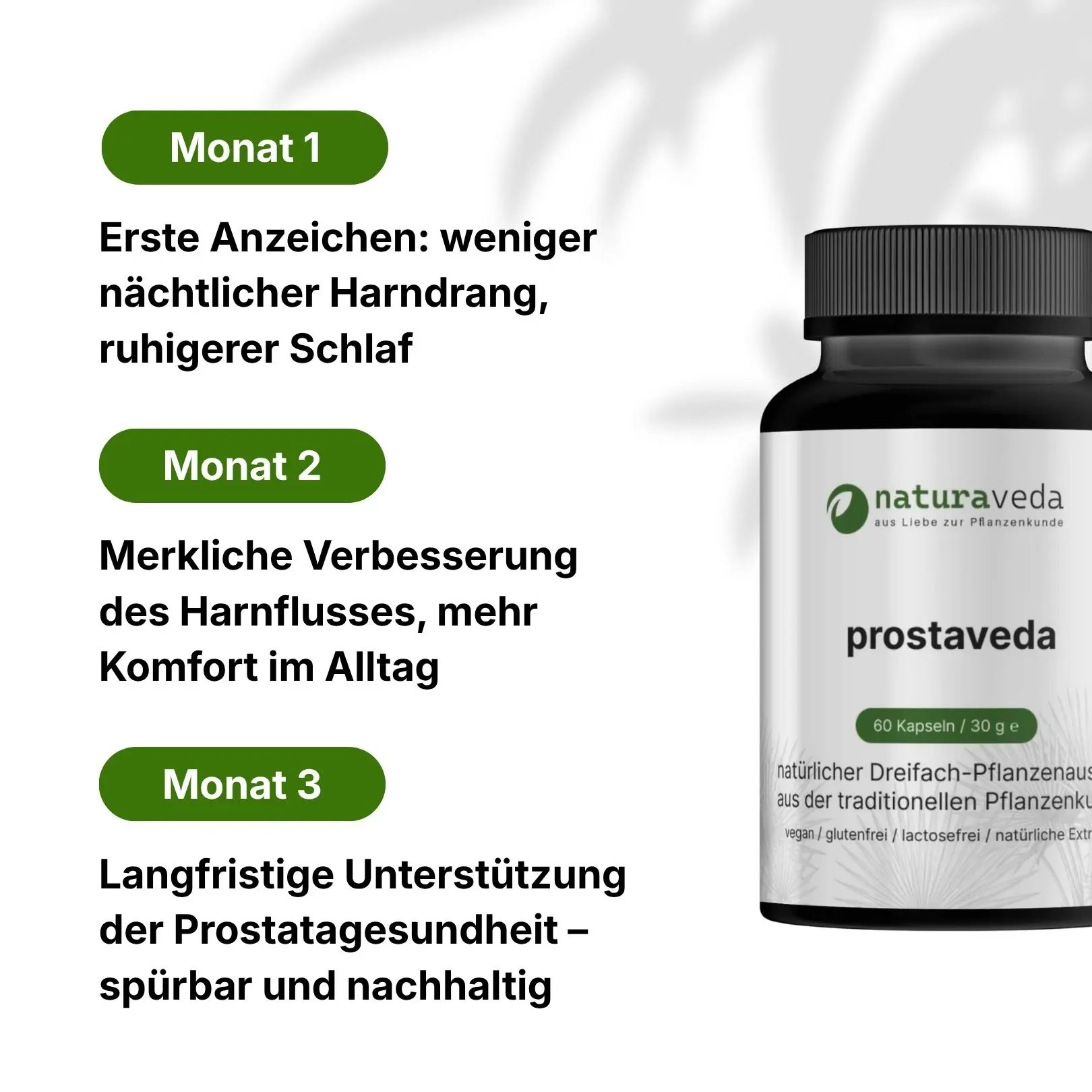 prostaveda 6er Paket