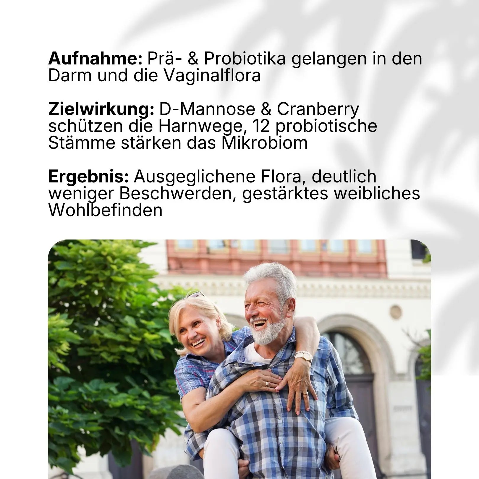 prostaveda geöffnet