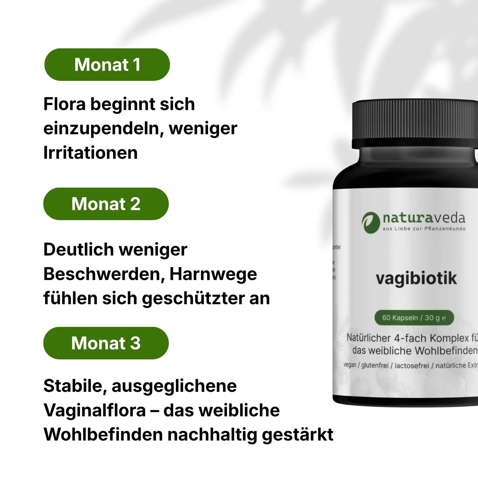 prostaveda 3er Paket